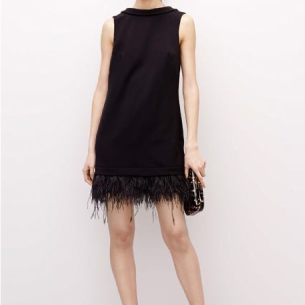 Ann Taylor Black Feather Trim Mini Dress